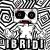 IBRIDI
